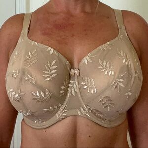 Elegant Beige Floral Embroidered Bra